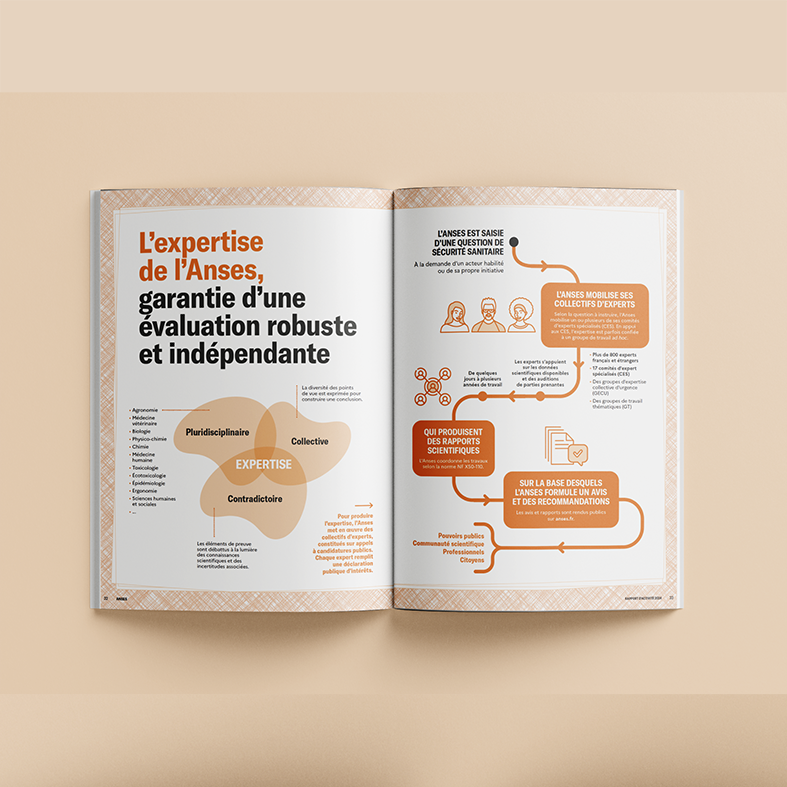ANSES-RAPPORT